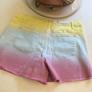 Judy Blue High Waist Shorts